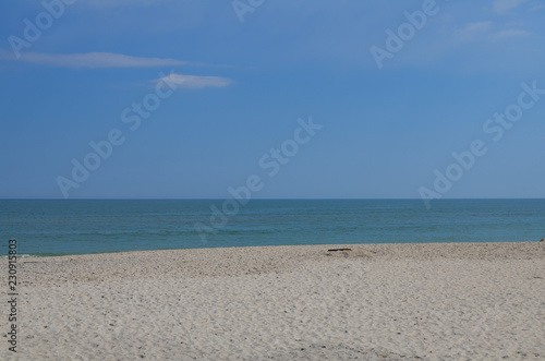 Beach at Assateague Island National Seashore in Maryland on a sunny spring day. Useful for backgrounds  negative space