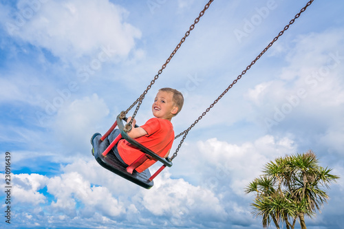 Boy having fun on the swing