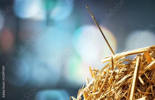 Closeup of Needle in haystack on blurred photo