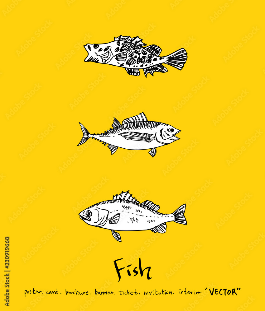 Fototapeta premium 해산물 일러스트 / 손으로 그린 수산물 그림