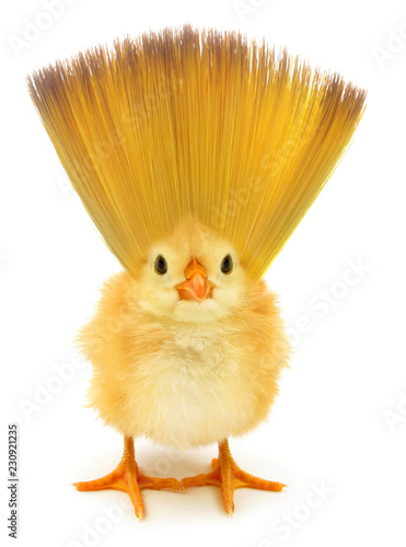 Canvas Print Crazy chick with ridiculous hedgehog hair