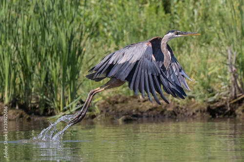 Launching Heron