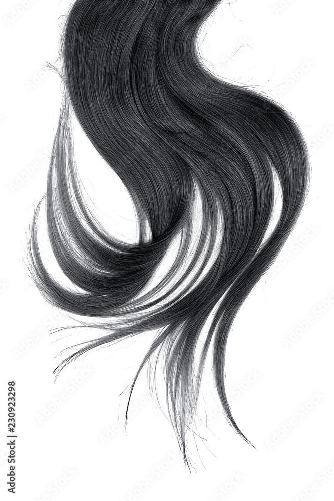 Black hair, isolated on white background. Long and disheveled ponytail