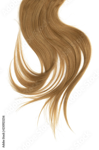 Brown hair, isolated on white background. Long and disheveled ponytail