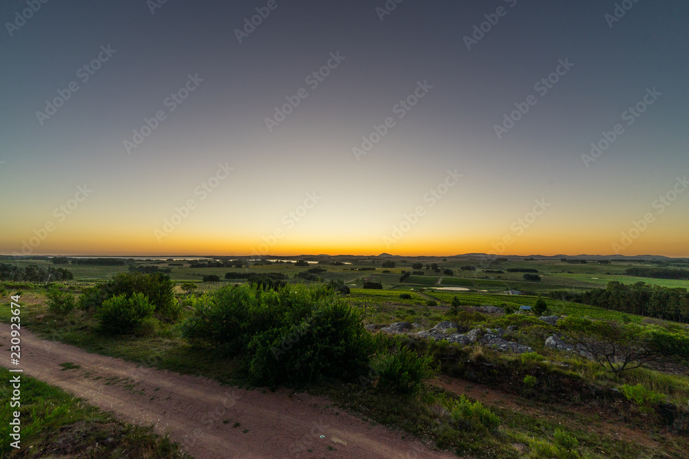 Sunset over a Vast Uruguay Vineyard, South America