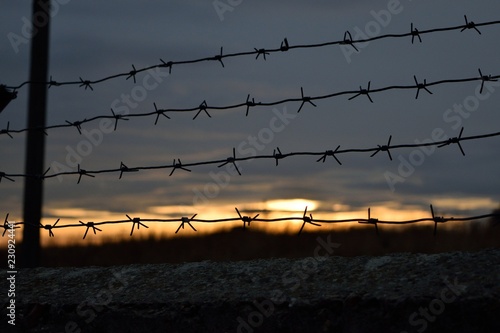 barbed wire on background of blue sky and white clouds