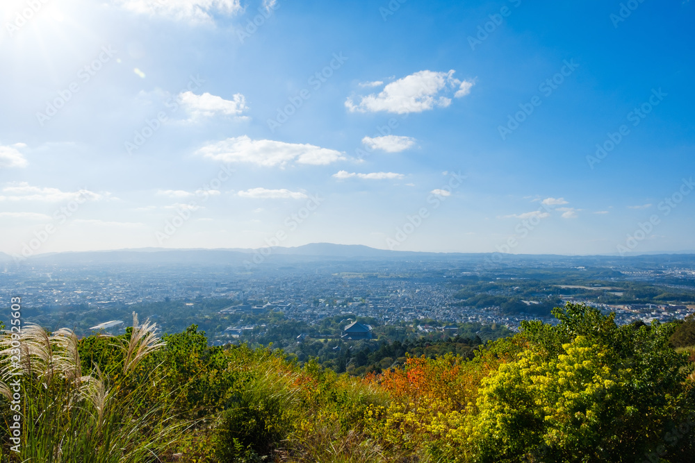 若草山と奈良の町