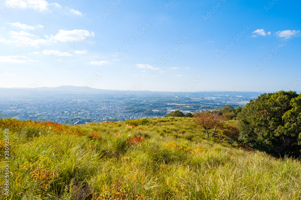 若草山と奈良の町
