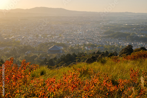 夕暮れの若草山と奈良の町