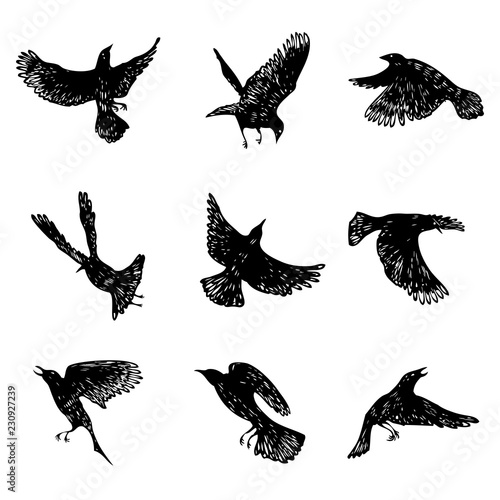 Set of birds flock. Flying crows birds. Hand drawing. Vector.