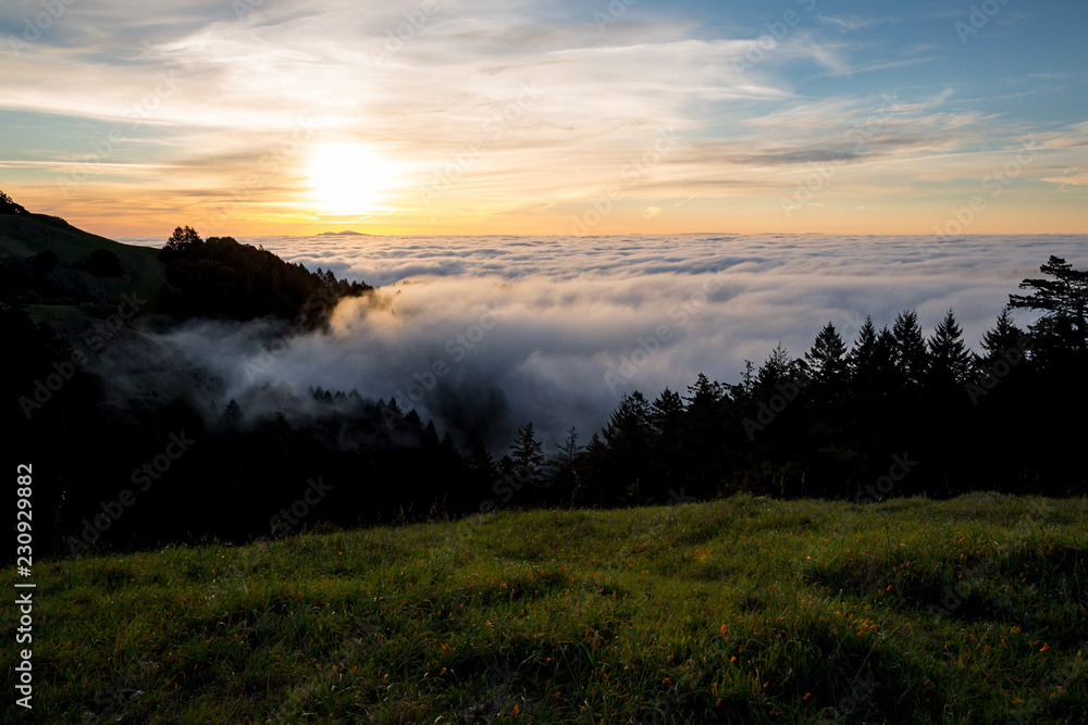 Clouds billowing over Mount Tamalpais State Park Clouds billowing over Mount Tamalpais State Park