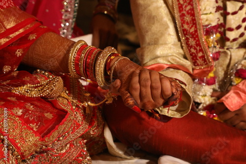 indian wedding function  © deepak
