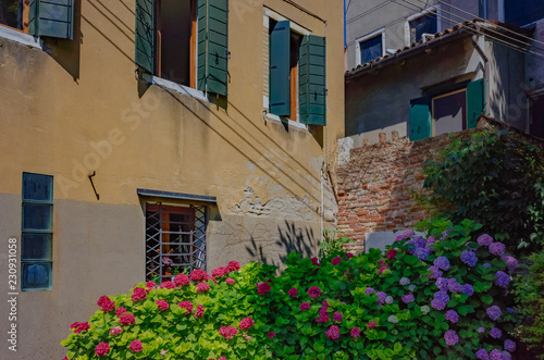 Houses and flowers in Venice, Italy