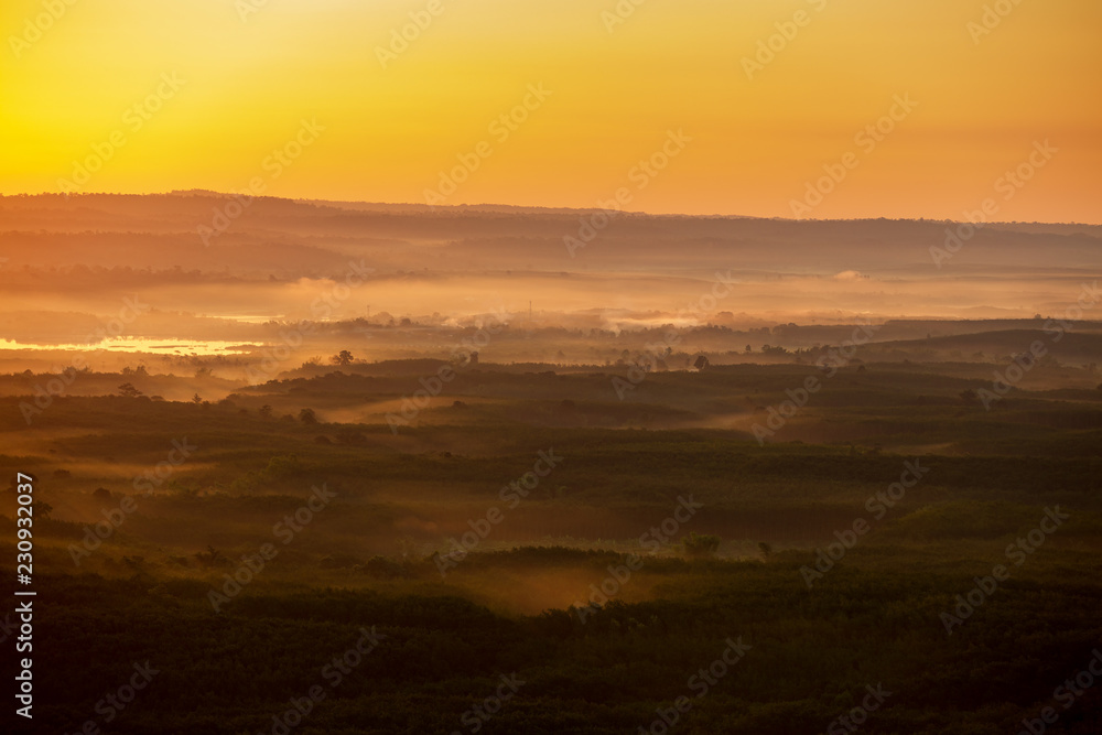 Landscapes aerial view sunrise pattern forest and foggy in morning time Bueng Kan Thailand.