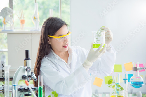 Beautiful Asian scientist warking in lab