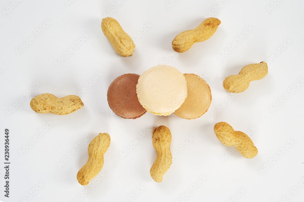 peanuts in shell on white background peanuts in shell on white background