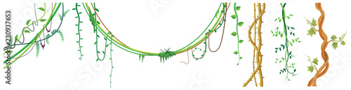 Vine jungle branches hanging. Climber sets isolated on white background. Vector illustration