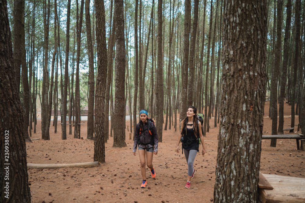 Fototapeta premium two young female hiker walking in beautiful nature