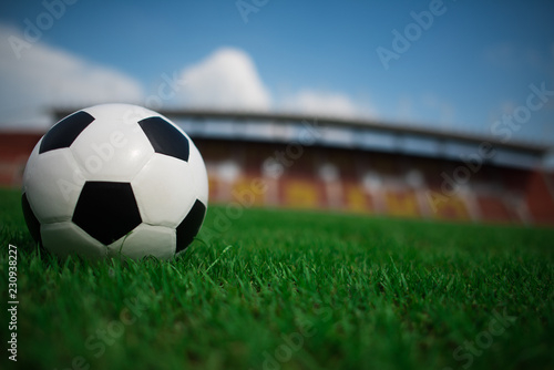 soccer ball on grass with stadium background