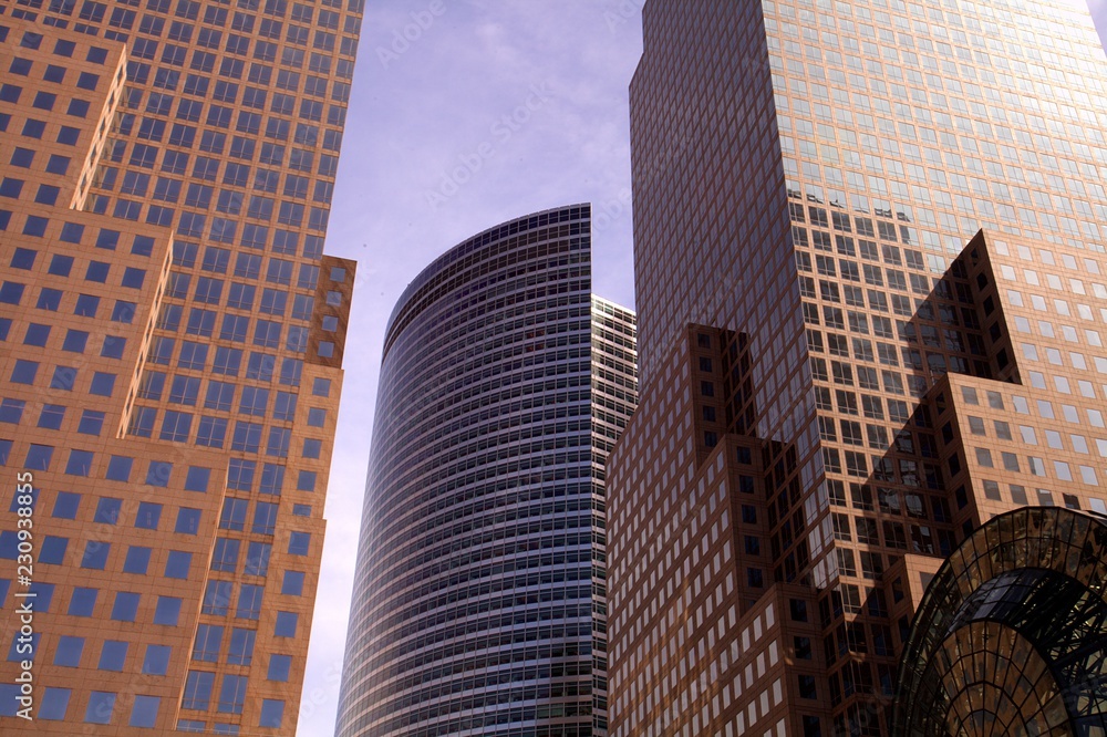 Obraz premium New York Skyscraper