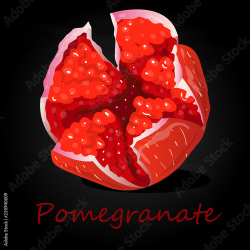Pomegranate hand drown vector illustration isolated on black background.