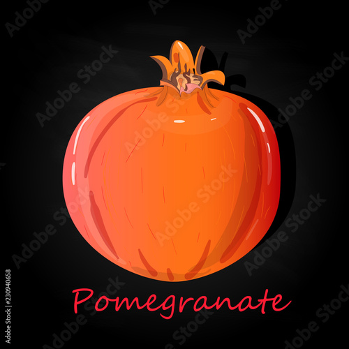 Pomegranate hand drown vector illustration isolated on black background.