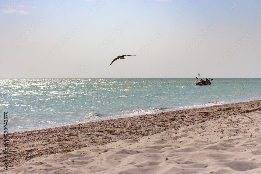 Sailing boat with flying seagull foreground and beach with white sand. Beautiful seacoast with boat and seagull. Fishing and tracel concept. Tropical landscape. Suuny day with azure sea water.