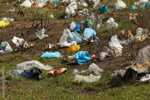 Plastic packets blowing in the wind against bushes.