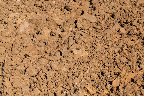 plowed soil