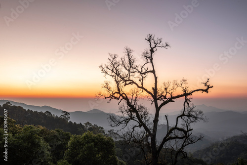 Scenery in Thailand as background or wallpaper.