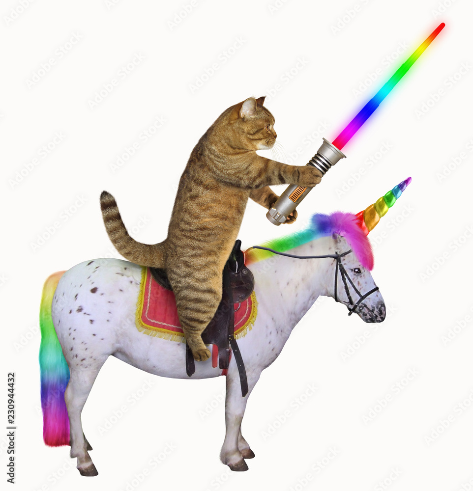 The cat with a glowing sword is riding the real unicorn. White ...