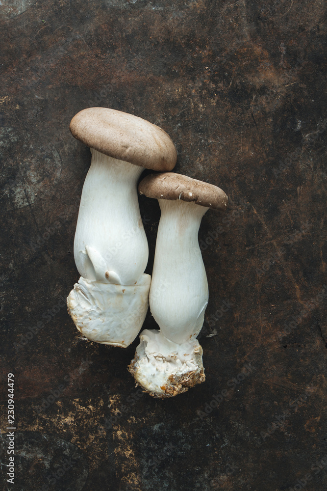 Oyster mushroom on rustic background Stock Photo | Adobe Stock