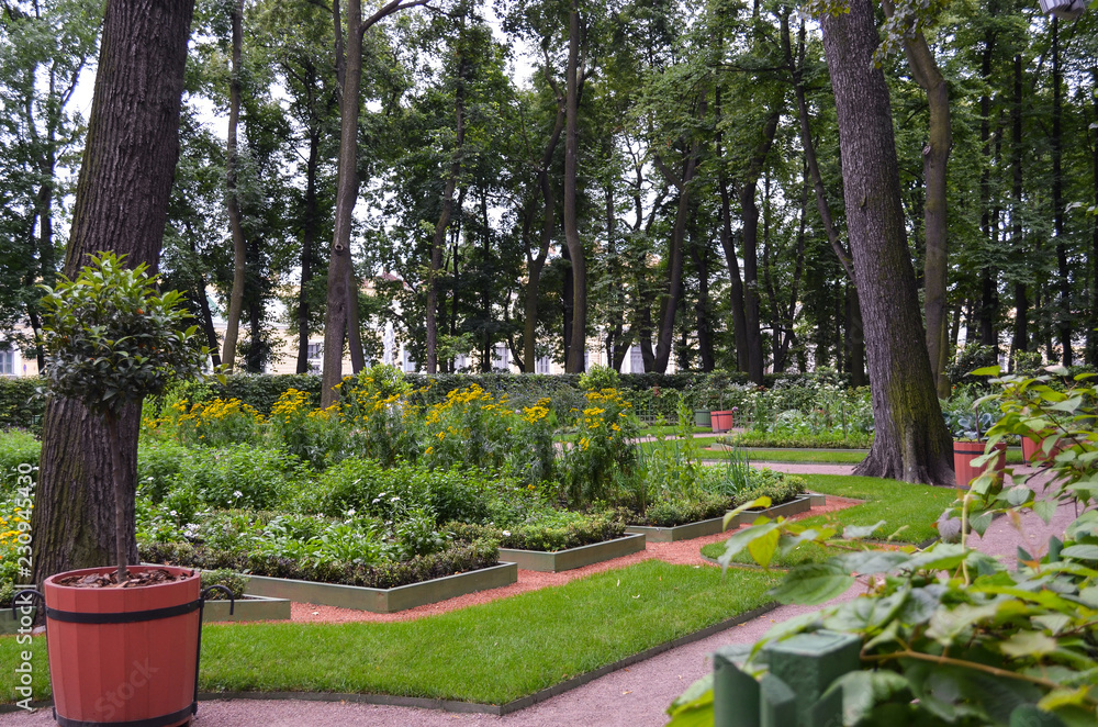View of the antique city's park Summer Garden (Letniy Sad), Saint Petersburg. Nice landscape with tall trees and flowers. Mandarin plant in the pot. For calendars, posters, postcards designs.