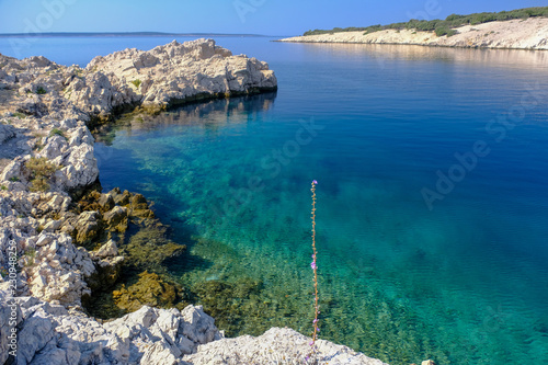 Fototapeta Naklejka Na Ścianę i Meble -  Clear green sea on Pag island in Croatia