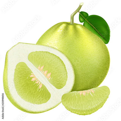 Fresh green pomelo. Vector illustration.