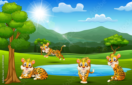 Fototapeta Naklejka Na Ścianę i Meble -  Happy tige group playing next to small pond with mountain scenery