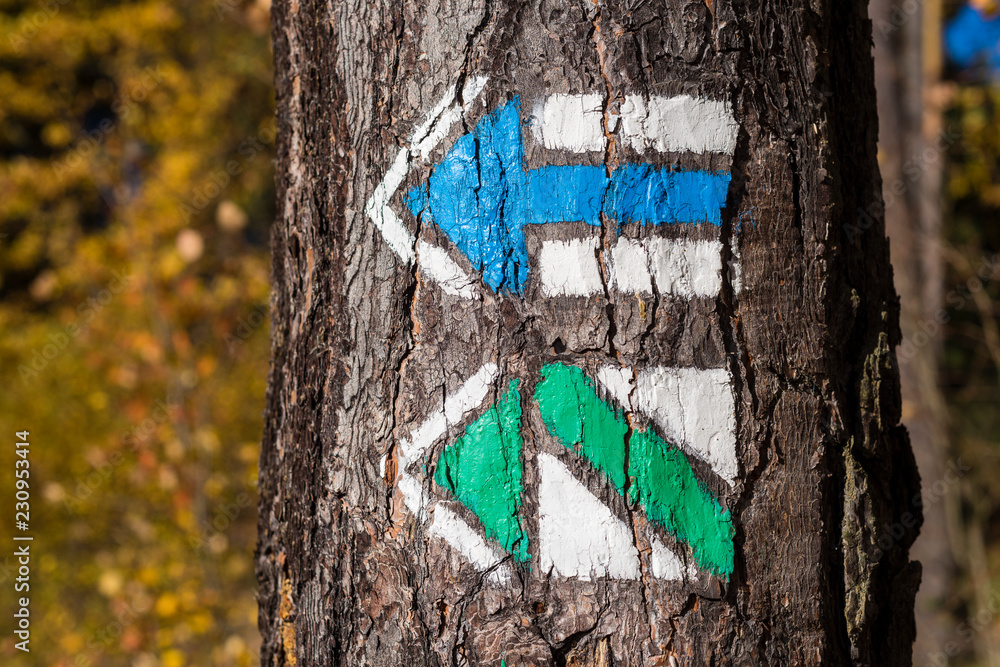 Fototapeta premium Touristic sign/mark on tree next to touristic path
