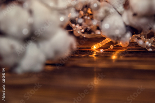 Christmas theme. Close up. Dry cotton flowers are intertwined with lights of Christmas garland. Copy space.