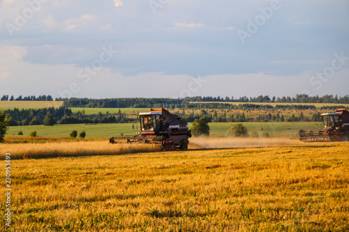 Combine harvester. old combine harvester working on the wheat field Kombain collects on the wheat crop. Agricultural machinery in the field.