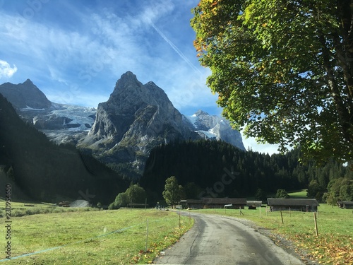 Wonderful Alps mountion  photo