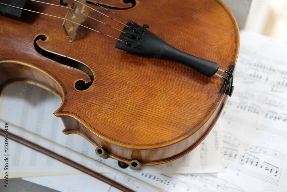 Fototapeta premium violin lying on the sheet music