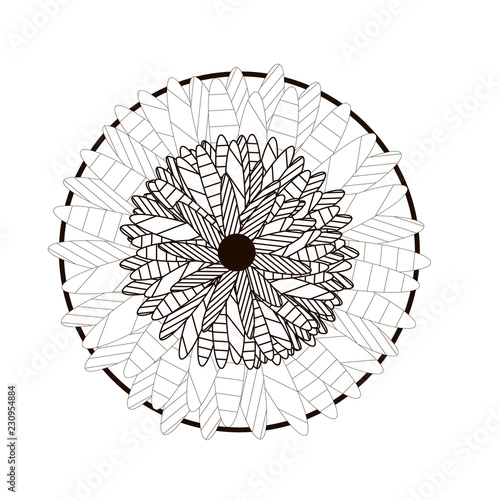 vector illustration of flower mandala