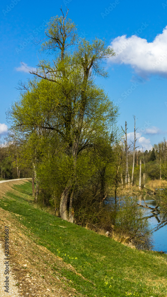 Smartphone HD wallpaper of beautiful view near the isar mouth - Moos - Bavaria - Germany Smartphone HD wallpaper of beautiful view near the isar mouth - Moos - Bavaria - Germany