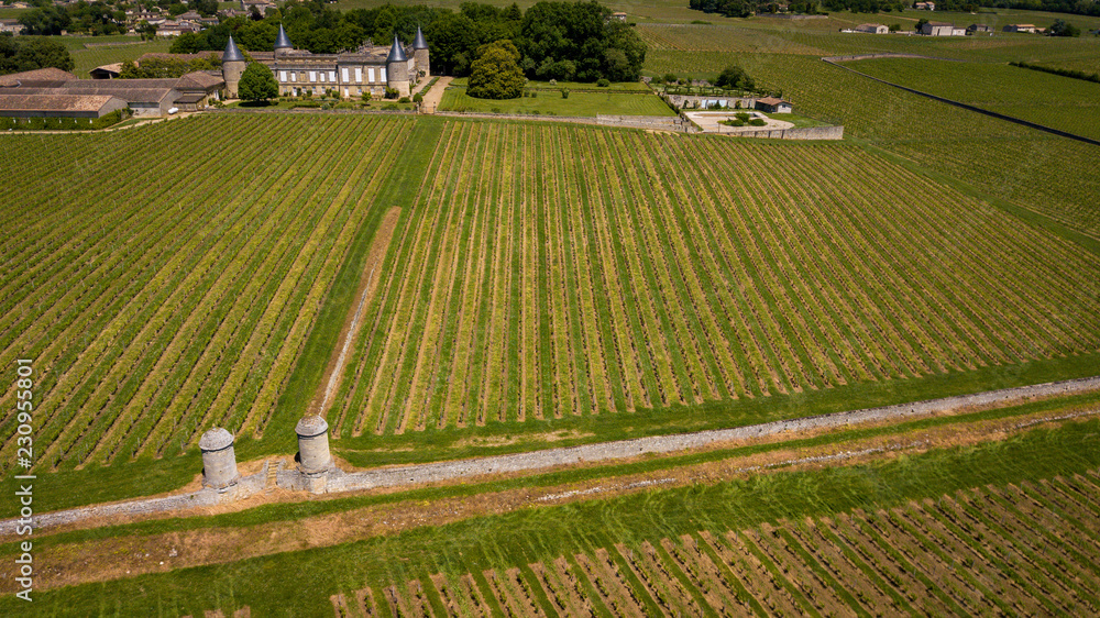 Aerial view Montagne Saint-Emilion, Aquitaine, Bordeaux Wineyard