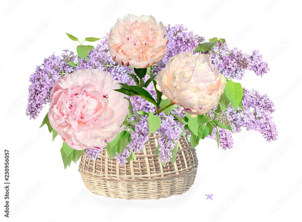 Romantic gentle bouquet of lilac flowers and light pink with creamy tone peonies in wicker basket, close up, isolated on a white background - festive floral design Romantic gentle bouquet of lilac flowers and light pink with creamy tone peonies in wicker basket, close up, isolated on a white background - festive floral design