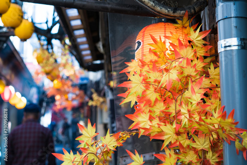 Autumn leaves at old streets in Asia photo
