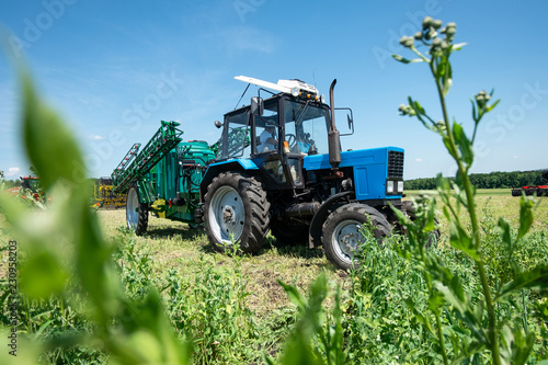 blue tractor in the field is preparing for chemical treatment of plants