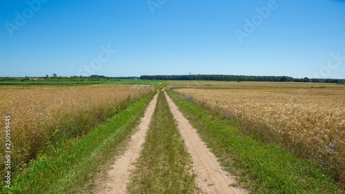 Sandy road through fields in Poland