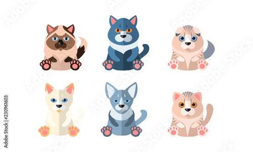 Different cute cats set  cartoon animals pets sitting vector Illustration on a white background
