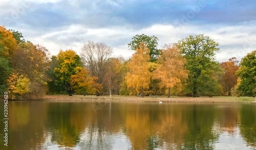 Wallpaper Mural autumn landscape with lake and trees Torontodigital.ca